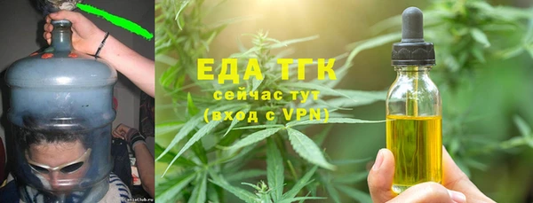 трава Ельня