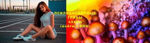 амф Алексеевка