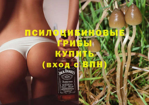 круглые Гусев