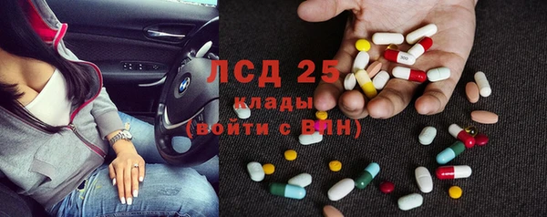 гашик Елизово
